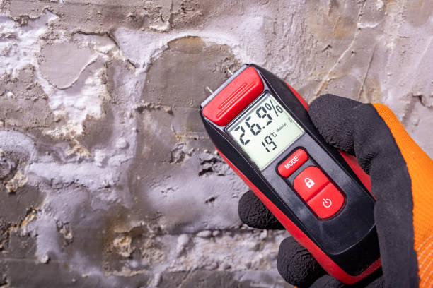 Best Office Mold Removal Services  in Smithers, WV