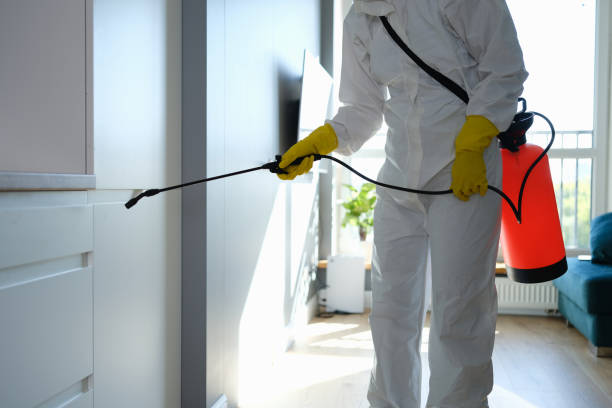 Best Emergency Mold Removal  in Smithers, WV